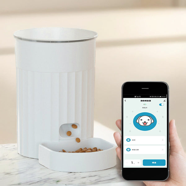 Comedero automático para gatos